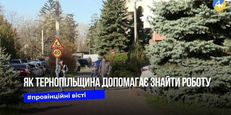 Вбудована мініатюра для Нові можливості для ветеранів та переселенців: як Тернопільщина допомагає знайти роботу